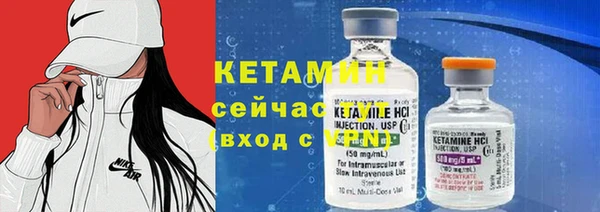 хмурый Магас