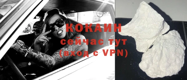 хмурый Магас