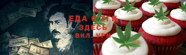хмурый Магас