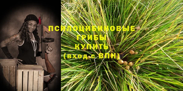 спиды Мегион