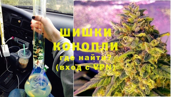 хмурый Магас