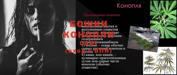 спиды Мегион